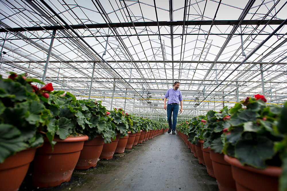 Inside one of our greenhouses